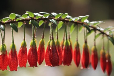 佛山三水区6私人快速借钱网，轻松解决资金难题