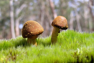 佛山三水区6私人老板放款：轻松融资的秘密通道